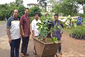 PlantationLibrary Started 15Aug2019